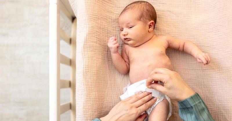 Freepik/pvproductions